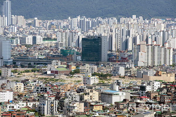 북서울 숲의 꿈에서 바라본 강북지역 아파트. 사진=서울와이어DB
