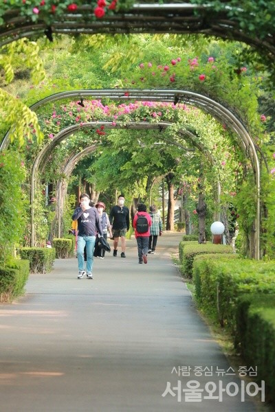 초여름 날씨를 보이고 있는 가운데 13일 오후 서울시내 시민들이 산책을 하고 있다