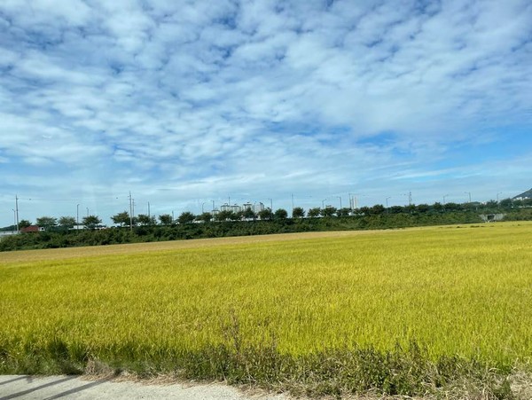 광명시흥지구는 대규모로 조성되는 택지개발지구로, 3기 신도시 중에서도 서울과 접근성이 좋다. 서울경계에서 거리는 불과 1㎞밖에 되지 않아 수요자들의 눈길을 끌기 충분하다. 사진=고정빈 기자