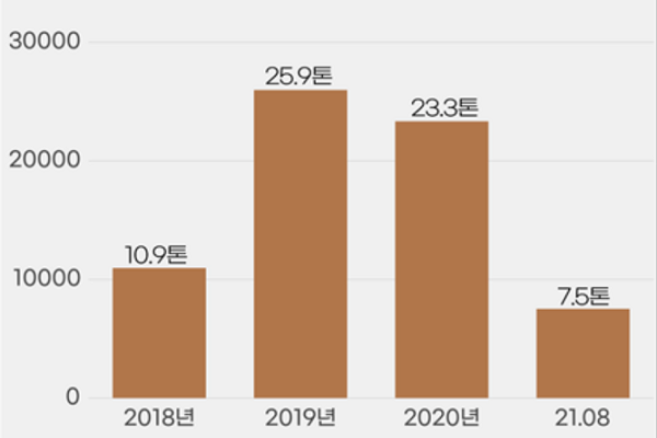 20일 더불어민주당 우원식 의원이 관세청으로부터 제출받은 자료에 따르면 연도별 빈랑 수입량은 2018년 10.9톤, 2019년 25.9톤, 지난해 23.3톤, 올해 1~8월 7.5톤으로 나타났다. 자료=우원식 의원실 제공