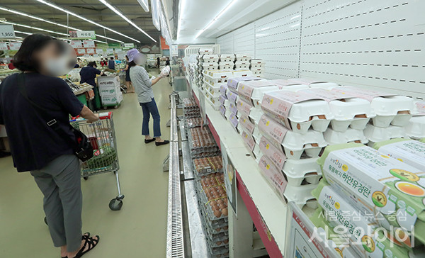 서울시내 대형마트를 찾은 시민들이 장을 보고 있다. 사진=서울와이어 DB