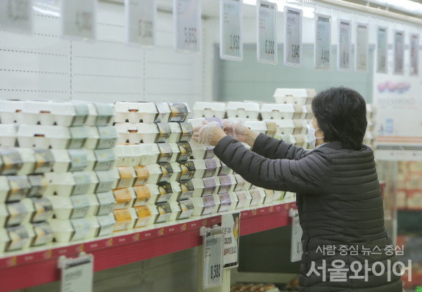 최근 조류인플루엔자 확산 여파로 계란 가격이 상승했다. 사진=이태구 기자