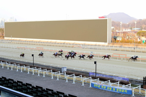 한국 마사회는 코로나19로 무고객경마를 시행했다. 말과 기수가 달리는 가운데 서울경마공원 관객석은 텅 비어있다. 사진=한국마사회 제공