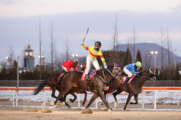 12월19일 경기도지사배 대상경주 우승마 어디가나, 기수는 유승완이다. 사진=한국마사회 제공