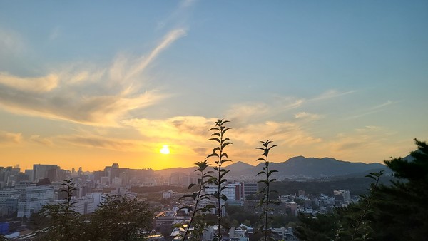 MZ세대들은 자연과의 공존을 중요한 삶의 질 향상 조건 중 하나로 생각한다. 사진=주해승 기자