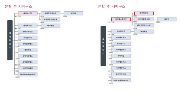 물적 분할 후 세아그룹 지배구조. 사진=키움증권 제공