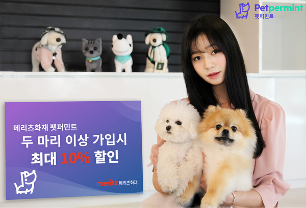 사진=메리츠화재