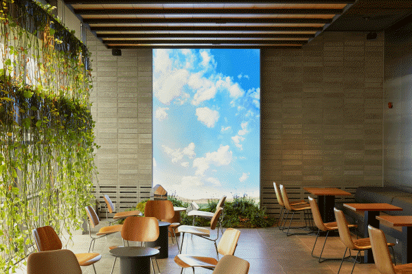 맥심 플랜트는 커피를 즐기는 공간에서 가장 중요한 요소인 ‘여유로움’을 강조하기 위해 널찍한 자리 배치와 계절별로 분위기에 어울리는 VMD로 새로우면서도 편안한 느낌을 전한다 사진=동서식품 제공