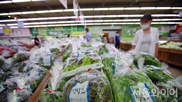 서울시내 대형마트 찾은 시민이 장을 보고 있다. 사진=서울와이어 DB
