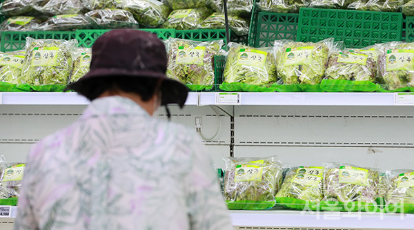 대형마트 채소코너를 찾은 시민이 장을 보고 있다. 사진=서울와이어 DB