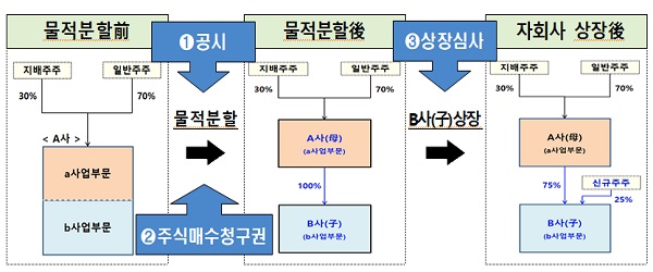 금융당국은 물적 분할 시 ‘주요사항보고서’ 공시, 물적 분할 전 모회사 주주에게 주식매수청구권을 부여, 물적 분할 후 5년 내 자회사를 상장할 경우 주주 보호 방안이 미흡하면 거래소가 심사해 상장을 못 하게 막는 것 등의 방안을 내놨다. 사진=금융위원회