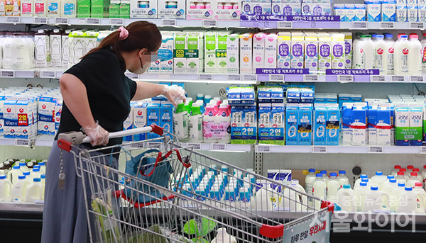 서울시내 대형마트를 찾은 시민이 우유제품을 고르고 있다. 사진=서울와이어 DB