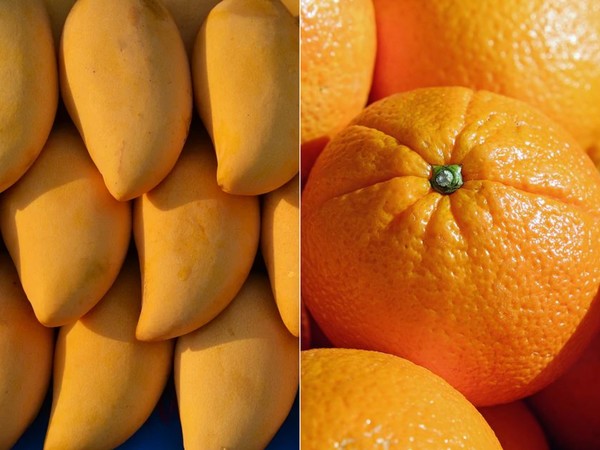 올해 추석선물은 망고·샤인머스켓·오렌지가 이색과일로 사랑받았다. 사진=픽사베이