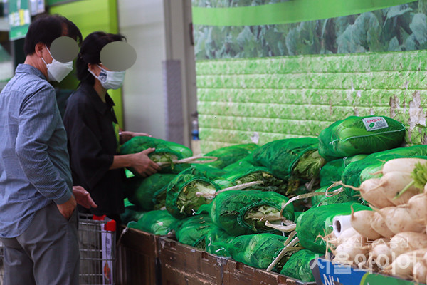 서울시내 한 대형마트를 찾은 시민이 배추를 고르고 있다. 사진=서울와이어 DB