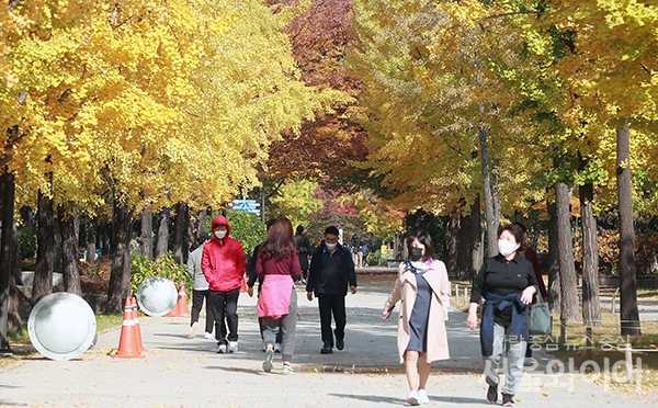 가을정취가 물씬 느껴지는 오후 서울 성동구 소재 서울숲을 찾은 시민들이 산책을 하고 있다. 사진=서울와이어DB