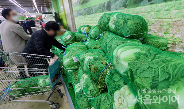 서울시내 대형마트를 찾은 시민이 장을 보고있다.