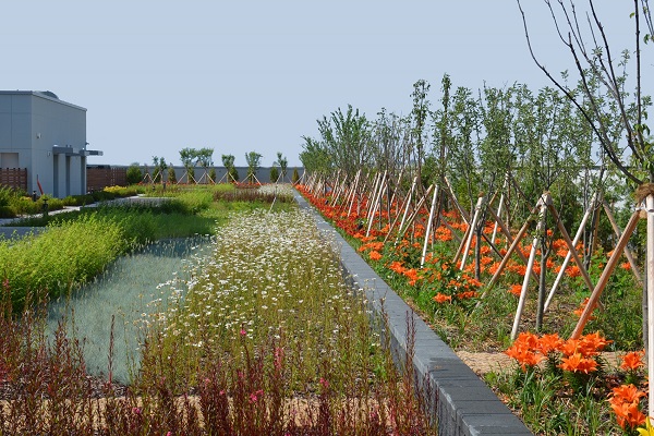 현대엔지니어링이 제13회 인공지반녹화대상에서 환경부장관상을 수상했다. 사진=현대엔지니어링 제공