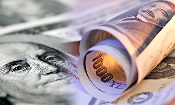 사진=서울와이어DB