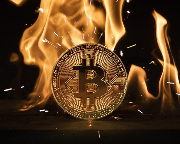 블록파이는 올해 FTX와 계열사 알라메다 리서치에 4억달러(약 5300억원) 상당의 한도대출을 받았다. 당시 위기를 넘겼으나, 이번에 FTX가 무너지면서 여파를 그대로 받았던 것으로 풀이된다. 사진=픽사베이