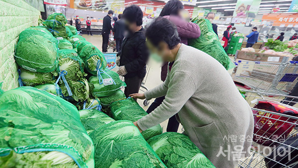 서울시내 대형마트를 찾은 시민이 배추를 고르고 있다. 사진=서울와이어 DB