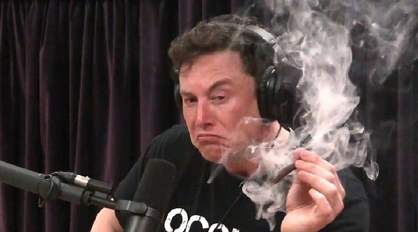  사진=일론머스크 트위터 캡처