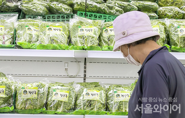 서울시내 대형마트를 찾은 시민 장을 보고 있다. 사진=서울와이어 DB