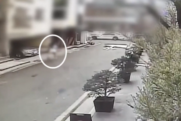 채널A 보도화면 캡처.