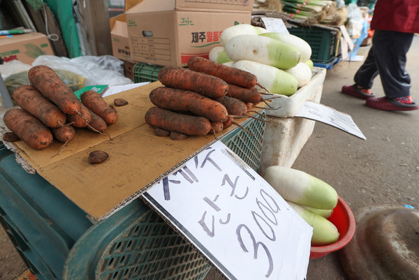 서울 송파구 가락농수산물도매시장에서 판매 중인 당근과 무. 사진=연합뉴스 제공