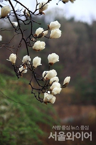[오늘날씨] 전국 곳곳에 ‘봄비’
