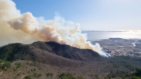 26일 오후 2시44분쯤 인천시 강화군 동막리 마니산 인근에서 불이 났다. 사진=연합뉴스 제공
