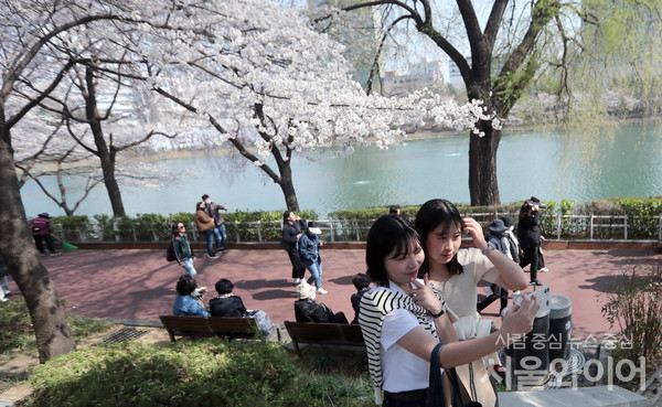 봄나들이 나온 시민이 셀카를 찍고 있다. 사진=서울와이어 DB