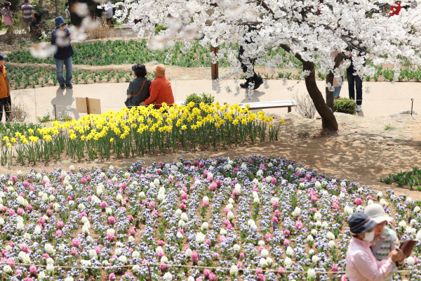 서울 서대문구 연희숲속쉼터에서 시민들이 봄을 만끽하고 있다. 사지=연합뉴스
