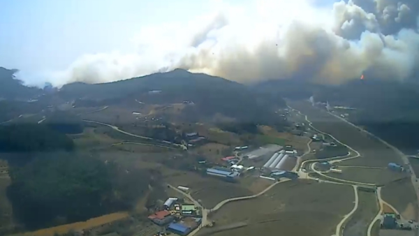 홍성 서부면에서 발생한 산불. 사진=연합뉴스