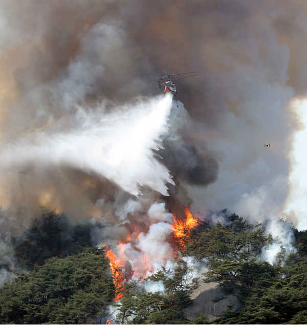 서울의 상징인 인왕산에서 불이 나 소방당국이 진화에 총력전을 펴고 있다 (사진 연합뉴스 제공)
