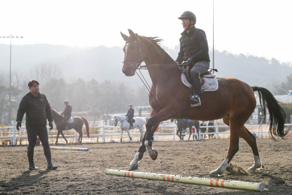 한국마사회가 제14회 승마지도사 자격 필기시험 원서 접수를 진행한다. 사진=한국마사회 제공