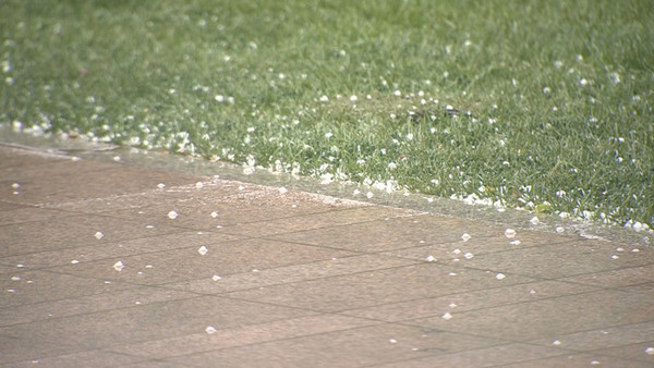 4월 중순 강원 북부 산간에서 대설주의보가 발령되고 부산에서는 우박이 내리는 등 전국에 이상 기온 현상이 나타났다. 사진=연합뉴스