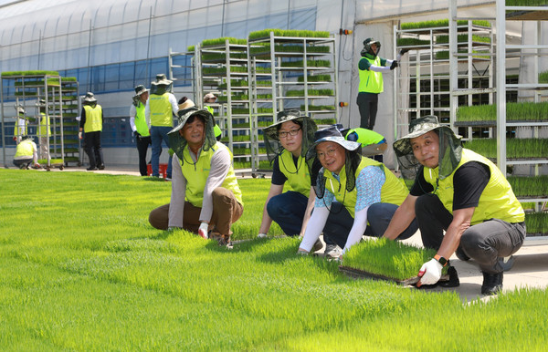 정영채 NH투자증권 사장(우측 두번째)과 윤병운 IB 1사업부 대표(첫번째) 최승호(좌측 첫번째)가 23일 충남 당진 문봉리마을을 찾아 일손돕기 봉사활동으로 육묘 경화 작업을 하고 있다. (사진=NH투자증권 제공) 