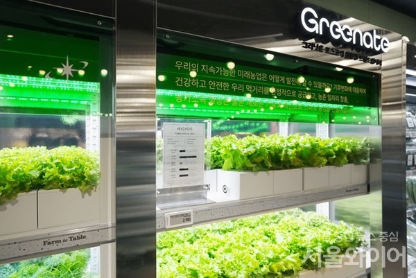 포스코가 국내 최초로 탄소저감 브랜드 제품을 출시했다. 포스코는 지난 3월말 이마트 연수점 매장내 스마트팜 하우징에 탄소저감 브랜드 제품인 'Greenate certified steel'을 시범 적용했다.