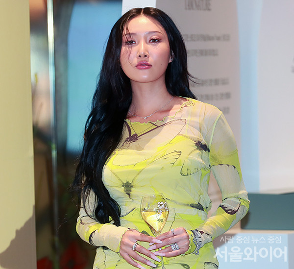 그룹 마마무 멤버 화사가 대학 축제 당시 선보였던 퍼포먼스로 학부모단체에 고발당했다. 사진=서울와이어 DB