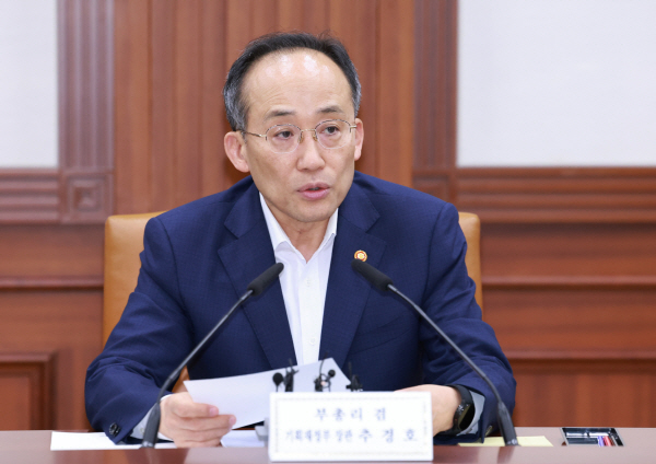 20일 소재·부품·장비 경쟁력강화위원회에서 추경호 경제부총리 겸 기획재정부 장관이 발언하고 있다. 사진=연합뉴스