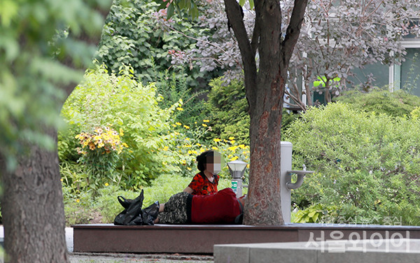 서울숲을 찾은 시민이 나무 그늘에서 더위를 피하고 있다. 사진=서울와이어DB