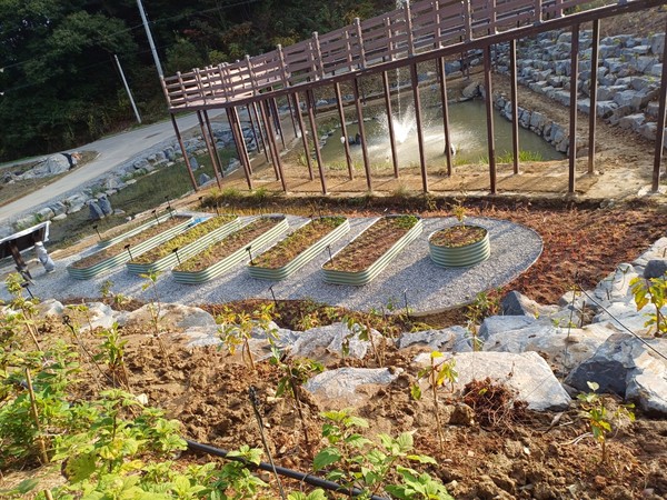 효성첨단소재가 멸종위기 야생식물의 보호를 위해 조성한 충청남도 서천군 물버들 생태체험학습센터 내 밀원식물 정원 전경. 사진=효성첨단소재 제공