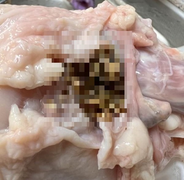 하림 '동물복지 통닭' 생닭 제품에서 발견된 이물질. 사진=온라인 커뮤니티 캡처
