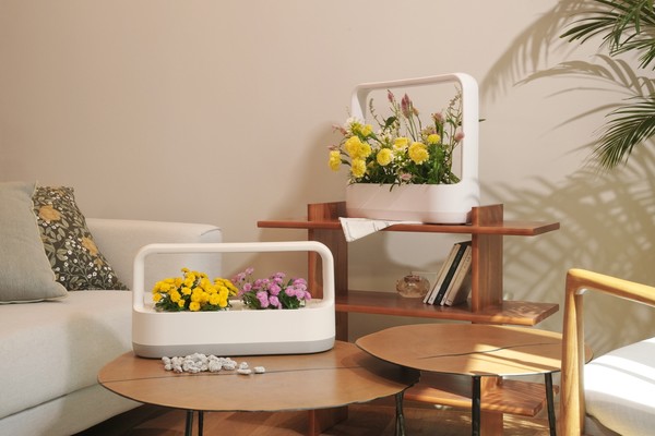 LG전자가 고객들이 틔운 미니에 원하는 씨앗을 심고 반려식물 생활을 즐길 수 있는 ‘틔운 미니용 나만의 키트 패키지’를 선보였다. 사진=LG전자 제공