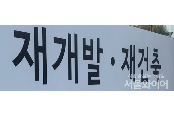 재초환법과 1기신도시가 국회 문턱을 넘었지만 실거주 의무 폐지 조항은 아직도 미래가 불투명한 상황이다. 사진=서울와이어 DB