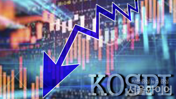 (사진=서울와이어 DB)