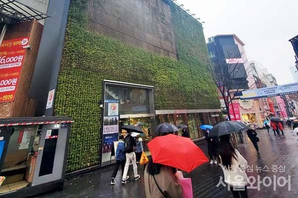 오늘은 전국에 많은 비가 내리고 강원 산지에는 매우 많은 눈이 예보됐다. 사진=서울와이어DB