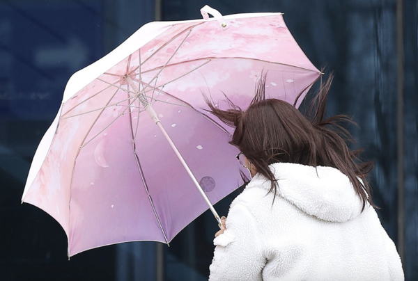 대구에서 한 시민이 우산을 쓰고 이동하고 있다.(사진=연합뉴스)