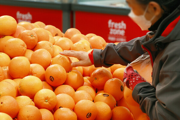 서울 이마트 용산점에서 오렌지를 고르는 시민의 모습. 사진=연합뉴스 제공