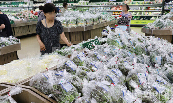 서울시내 대형마트를 찾은 시민이 장을 보고 있다. 사진=서울와이어 DB